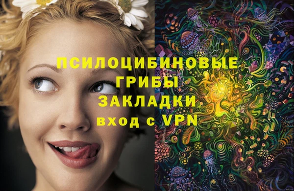 PSILOCYBIN Баксан